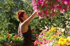 Une image contenant arbre, personne, plein air, fleur

Description gnre automatiquement
