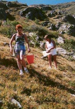 Une image contenant plein air, herbe, habits, chaussures

Description gnre automatiquement