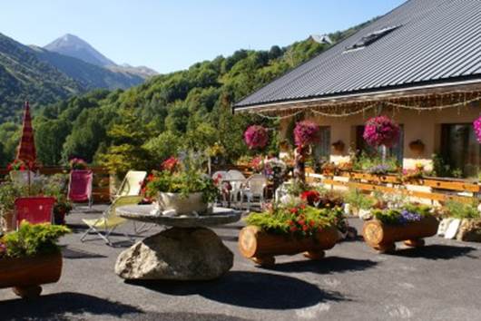 Une image contenant plein air, pot de fleurs, plante, montagne

Description gnre automatiquement