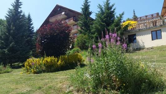 Une image contenant plein air, herbe, fleur, ciel

Description gnre automatiquement