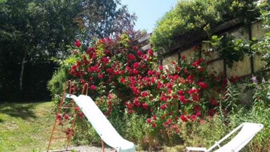 Une image contenant plein air, arbre, plante, jardin

Description gnre automatiquement